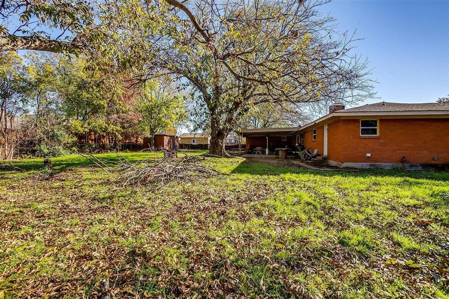 Large backyard with mature trees.