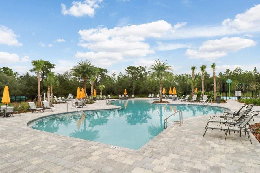 Community amenities in Westgate at Avalon Park, Wesley Chapel (Image 35).