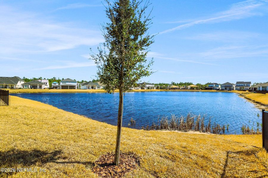 Natural landscape and outdoor views near in Ponte Vedra (Image 50). Natural landscape and outdoor views near in Ponte Vedra (Image 50).