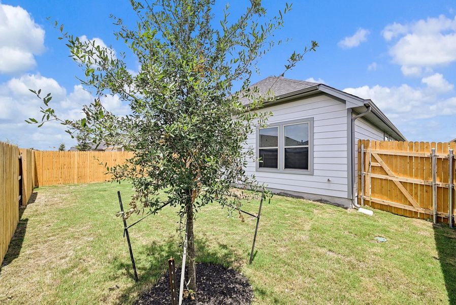 Exterior details and patio area of a home in Prairie Winds, Hutto (Image 23).