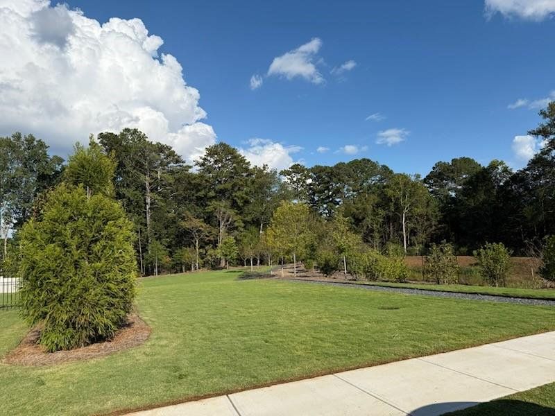 Natural landscape and outdoor views near Knollwood in Johns Creek (Image 44).