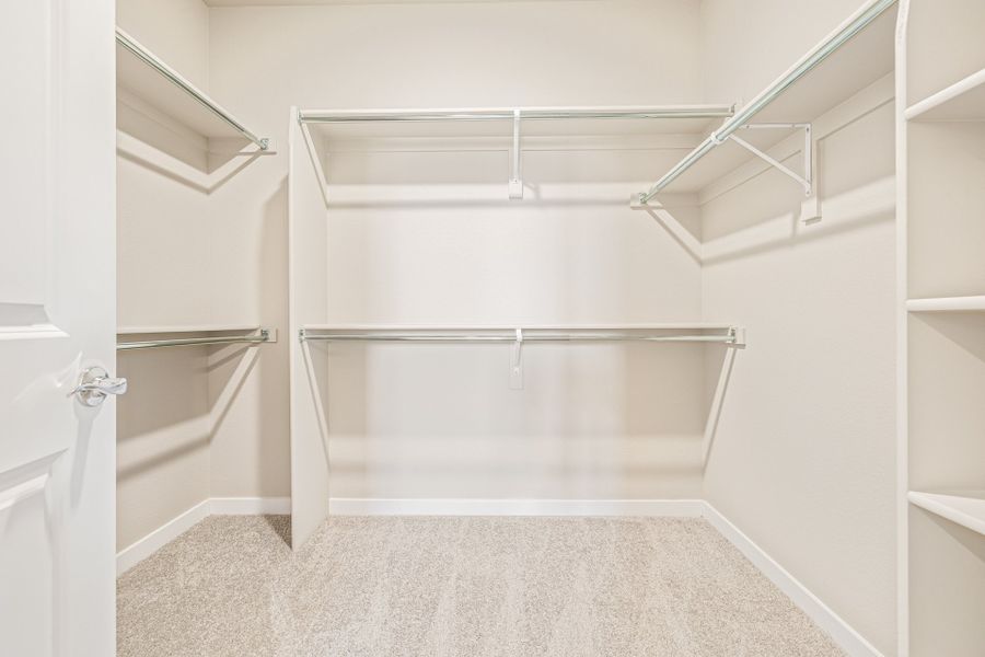 Spacious, unfurnished interior of a new home in Arras Park, Thornton (Image 18).