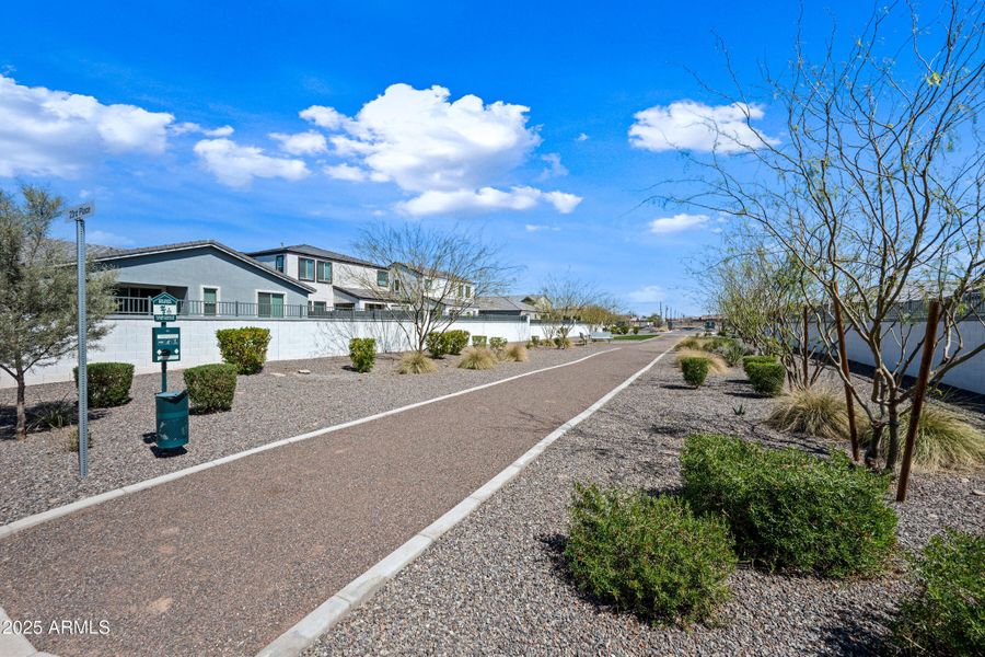 6-Goldwater-ocupix-Comm 6-Goldwater-ocupix-Comm