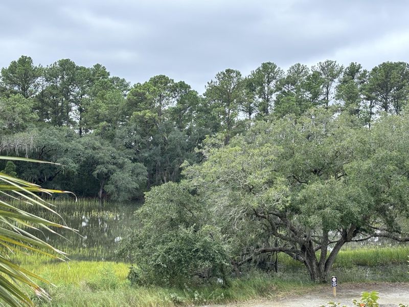 Natural landscape and outdoor views near  in Charleston (Image 29).