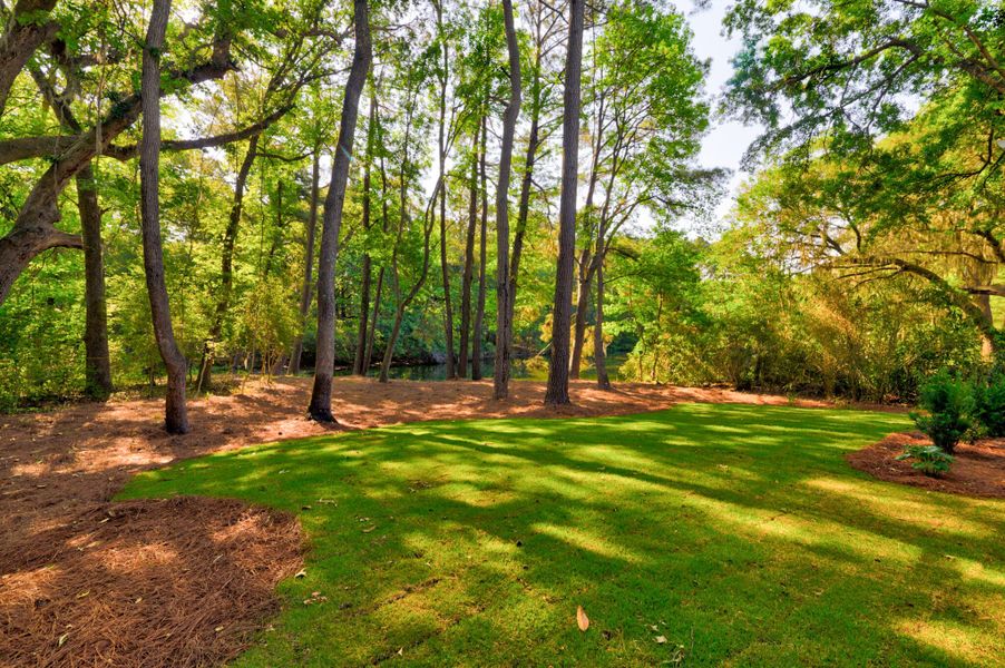 Natural landscape and outdoor views near  in Hollywood (Image 49).