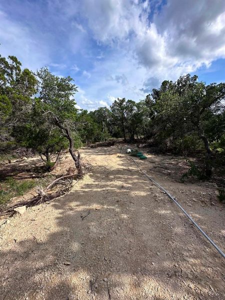 A tranquil, undeveloped parcel offers abundant privacy and natural scenery.