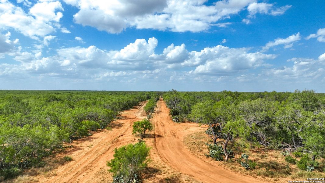Natural landscape and outdoor views near  in Jourdanton (Image 32).