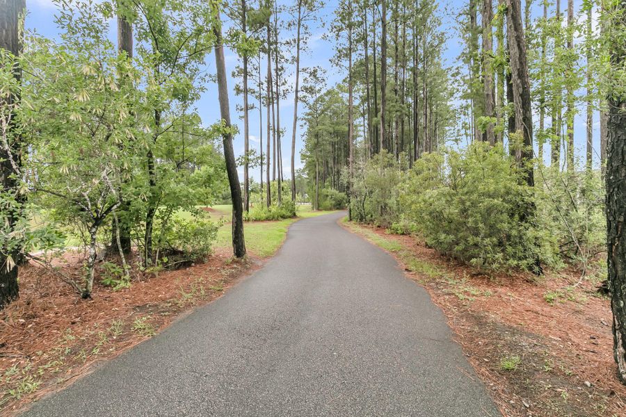 Natural landscape and outdoor views near K. Hovnanian's® Four Seasons at Lakes of Cane Bay in Summerville (Image 69).