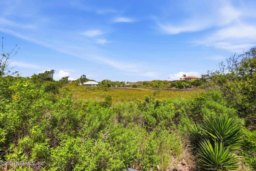 Natural landscape and outdoor views near in St. Augustine (Image 21). Natural landscape and outdoor views near in St. Augustine (Image 21).