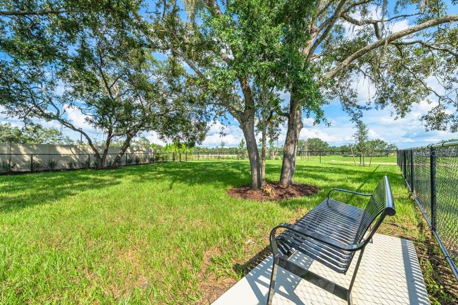 Natural landscape and outdoor views near Palm Wind in Hudson (Image 15).