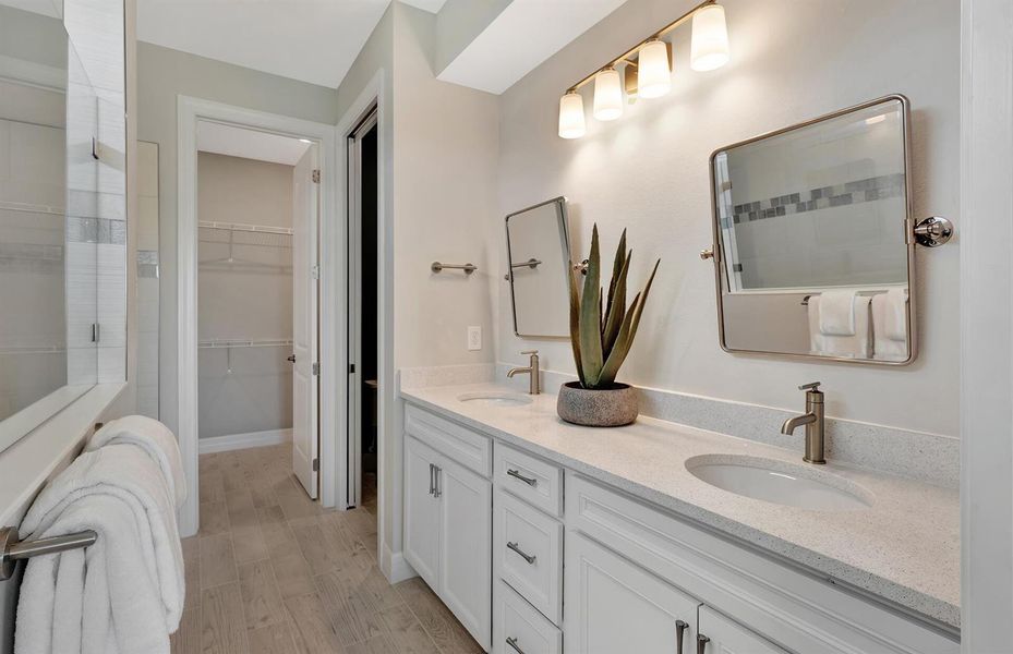 Owner's Bath