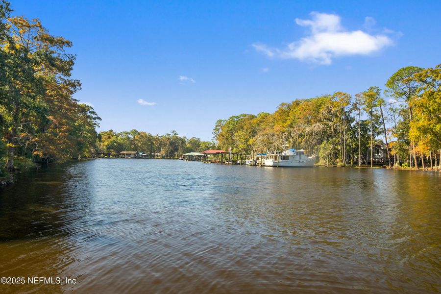 Natural landscape and outdoor views near  in Jacksonville (Image 24).