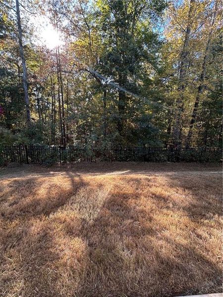 Natural landscape and outdoor views near Wildwood at Avalon in McDonough (Image 13).