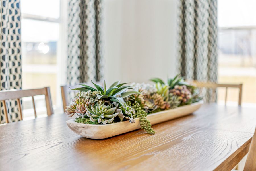 Close-up of interior finishes inside a home in Wilson Meadows, Clarksville (Image 17).
