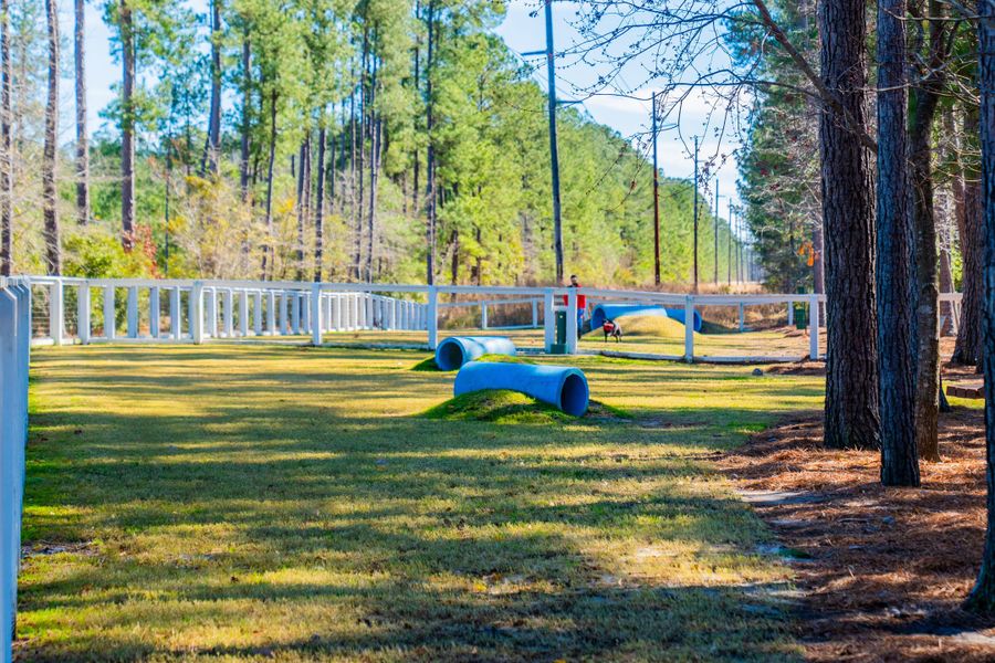 Community amenities in Nexton, Summerville (Image 49).