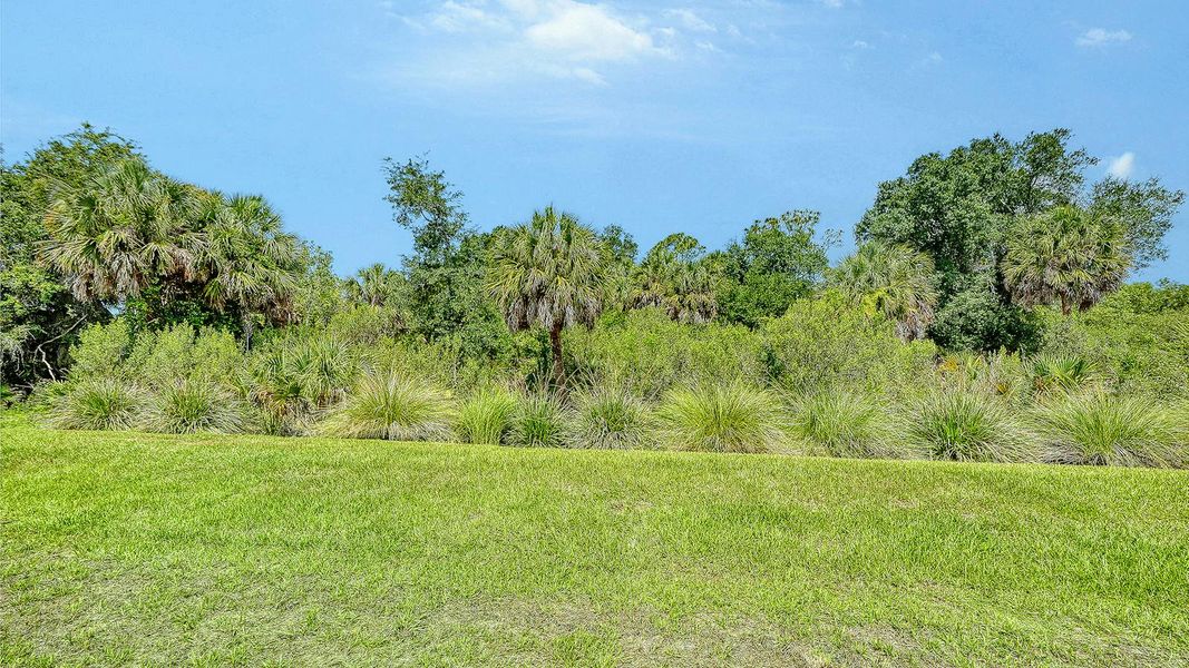 Natural landscape and outdoor views near Grand Park Real Estate and Homes for Sale in Sarasota, FL - Neal Communities in Sarasota (Image 49).