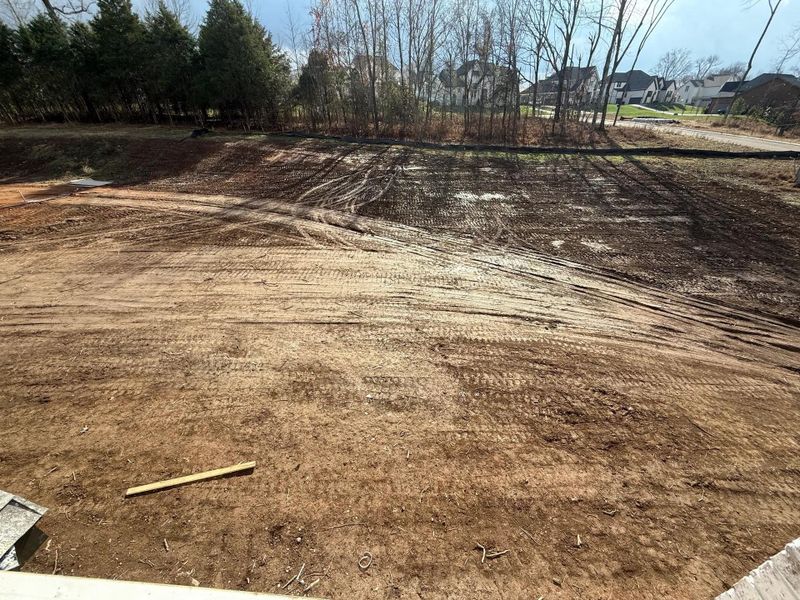 The Waylon A Yard The Waylon A Yard