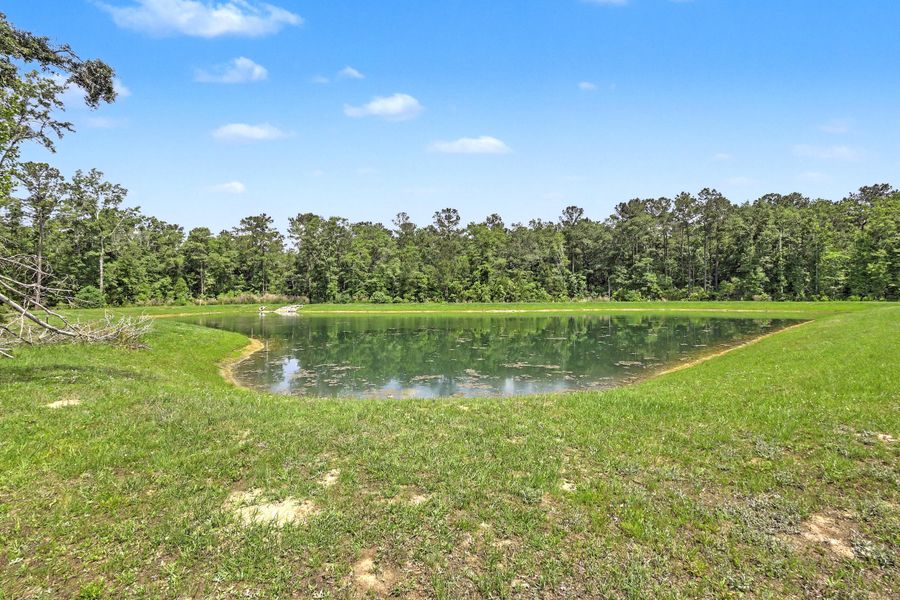 Natural landscape and outdoor views near  in Summerville (Image 35).