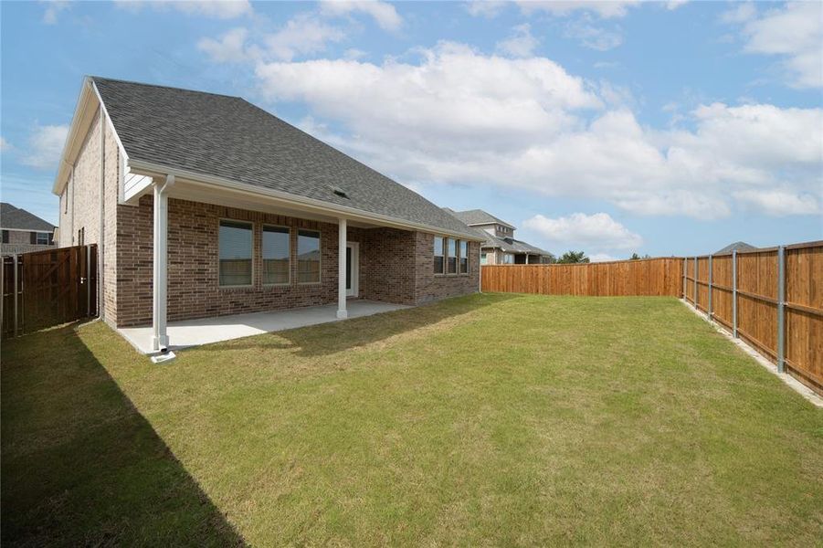 Backyard