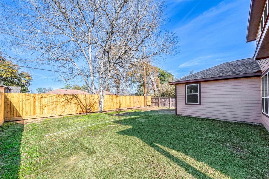 Expansive backyard