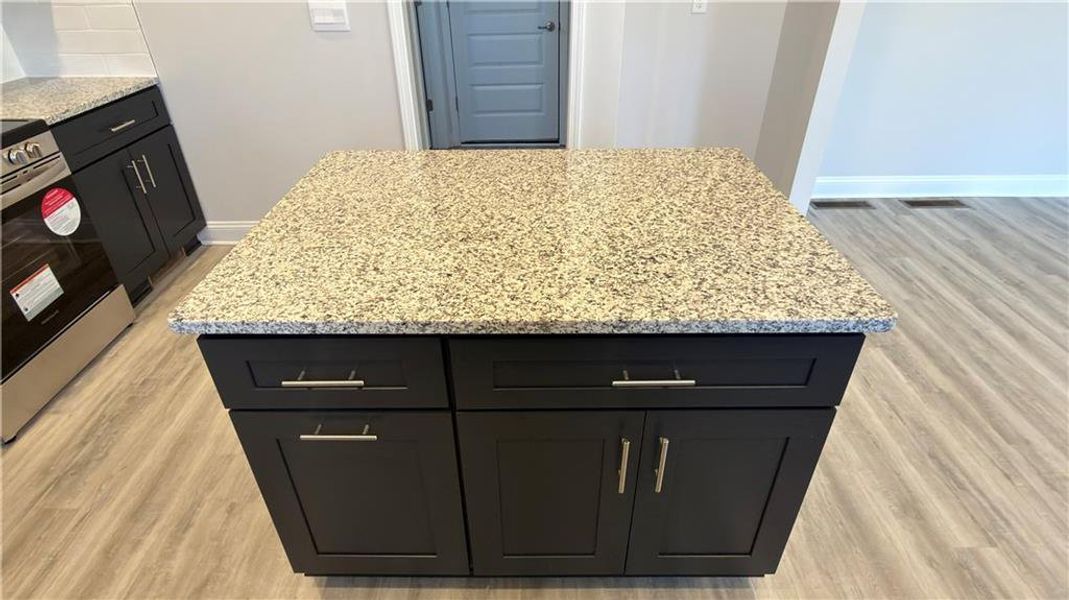 Close-up of interior finishes inside a home in Habersham Meadows, Demorest (Image 6).