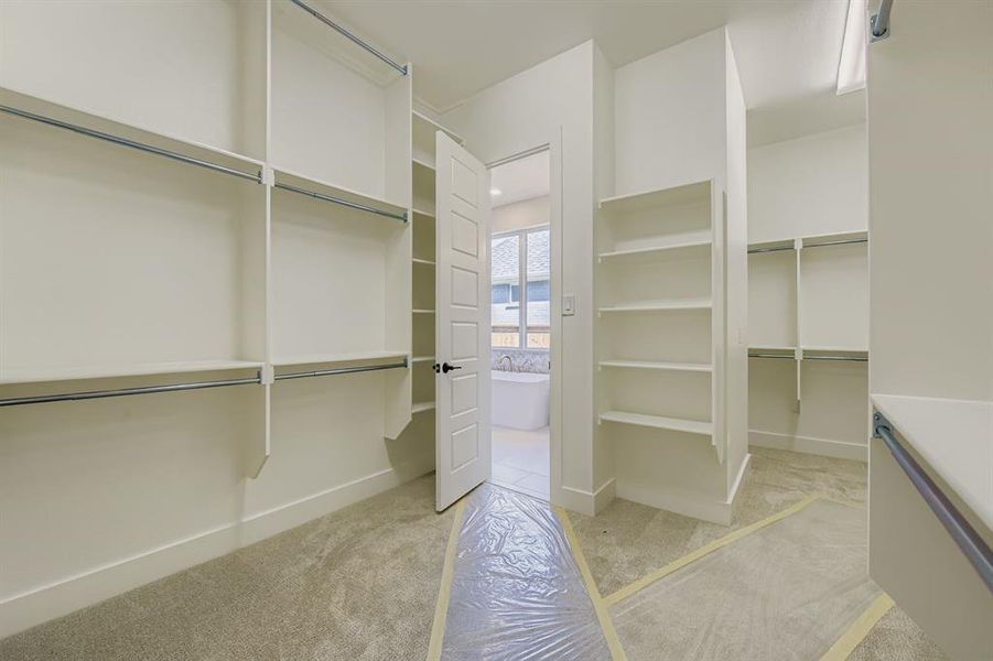Spacious closet featuring light colored carpet