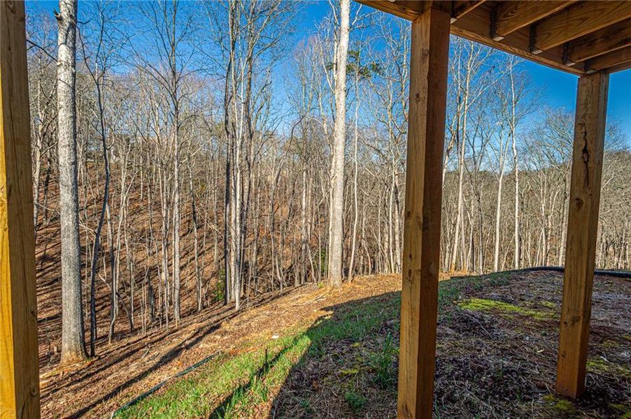 Exterior details and patio area of a home in , Dahlonega (Image 29).
