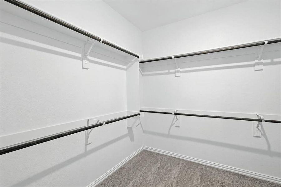 Walk in closet featuring carpet Walk in closet featuring carpet