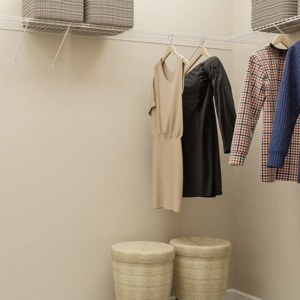 Elan owner's suite closet