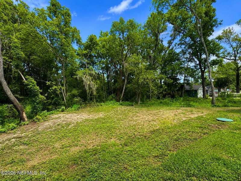 Natural landscape and outdoor views near  in Jacksonville (Image 31).
