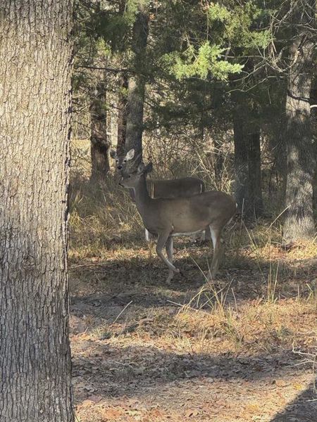 Image 37 of a home in . Image 37 of a home in .