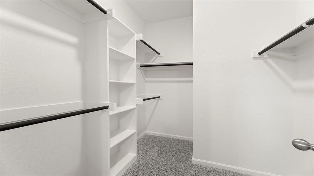 24. 2910 Plum Creek - Closet