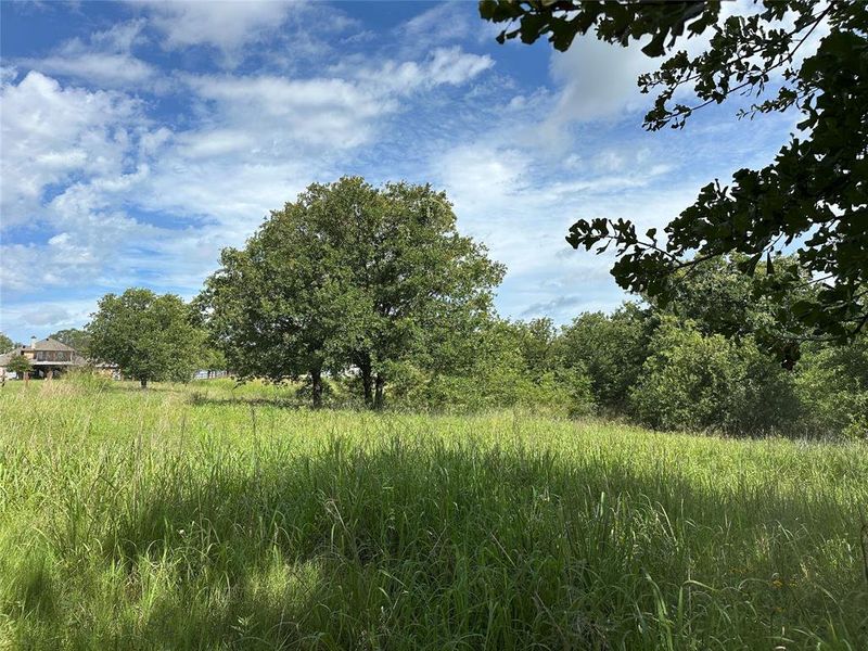 Expansive undeveloped lot featuring mature trees and natural grassland Expansive undeveloped lot featuring mature trees and natural grassland