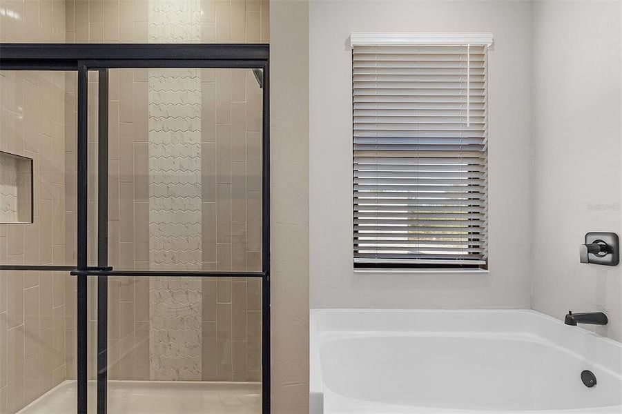 Furnished interior view inside a new home in Lake Gallagher Estates, Dover (Image 5).