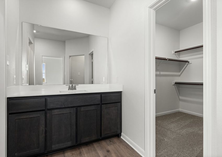 The master bathroom has a large vanity.