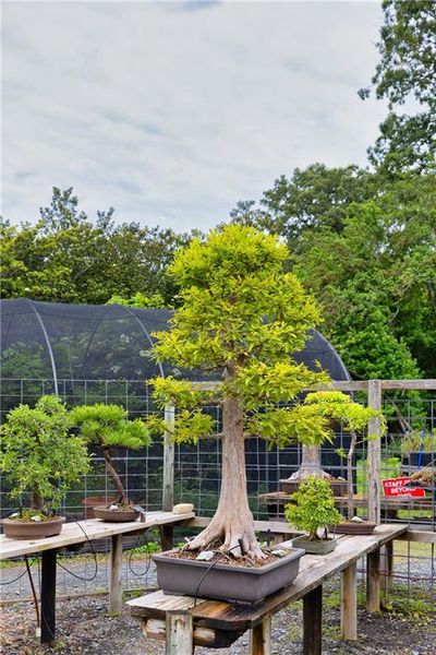 Image 34 of a home in Livingstone Park.