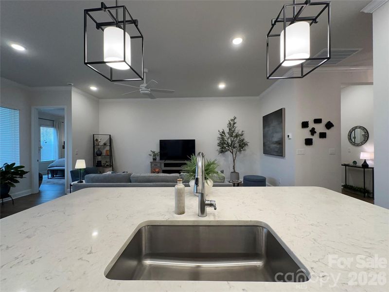 Large Single Bowl In Island Sink