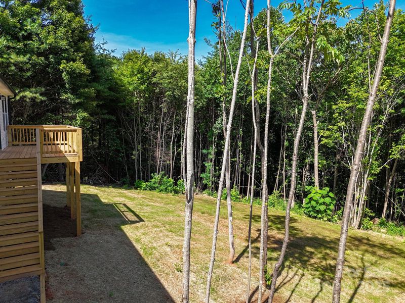 Front exterior of a new home in , Candler, NC, highlighting curb appeal (Image 25).