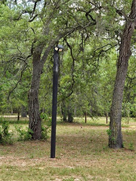 Natural landscape and outdoor views near  in Spring Hill (Image 35).