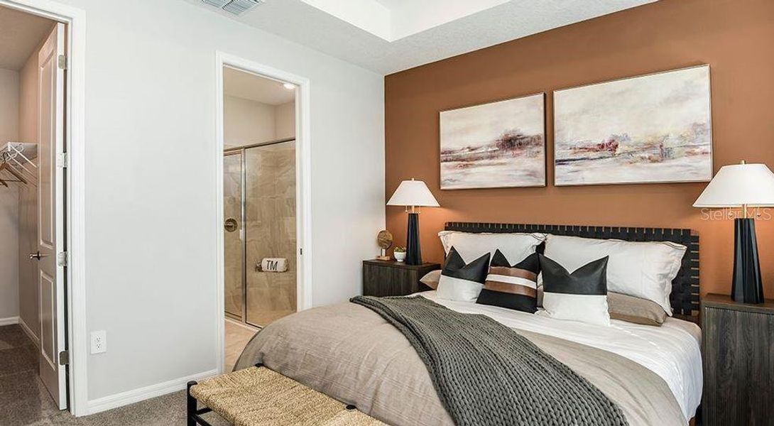 REPRESENTATIVE PHOTOS