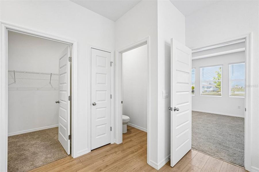 Spacious, unfurnished interior of a new home in , Lakeland (Image 50).