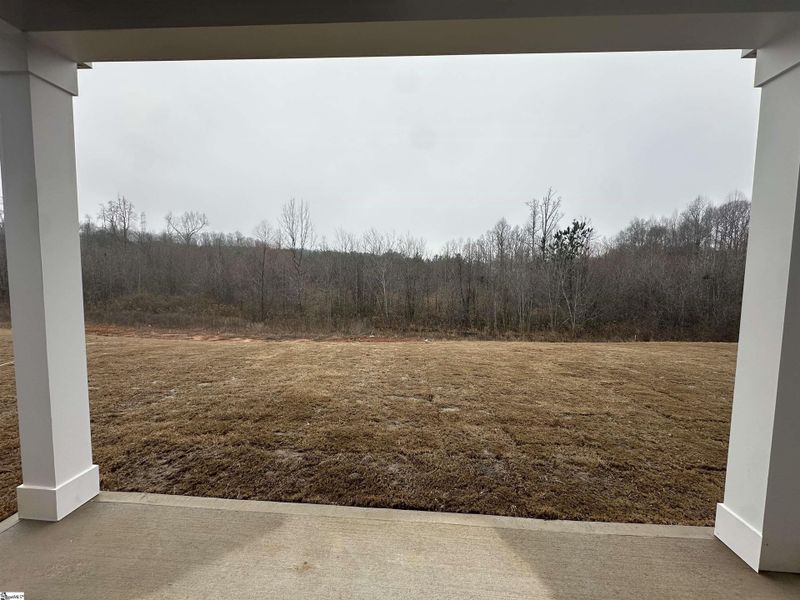 Exterior details and patio area of a home in Shiloh Trail, Wellford (Image 26).