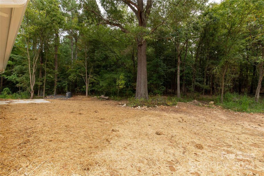 Plenty of trees left for shade and privacy