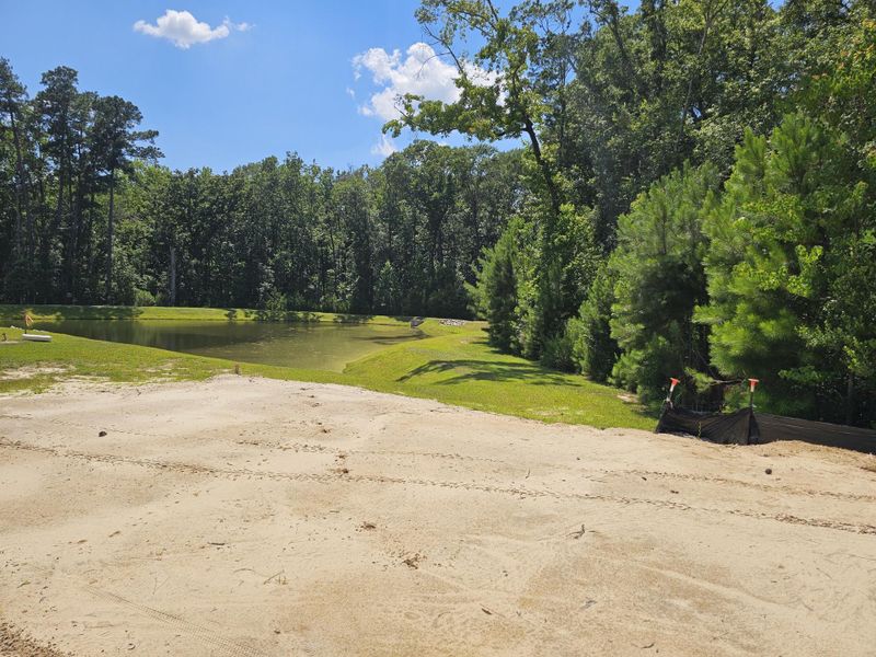 Natural landscape and outdoor views near  in Summerville (Image 33).