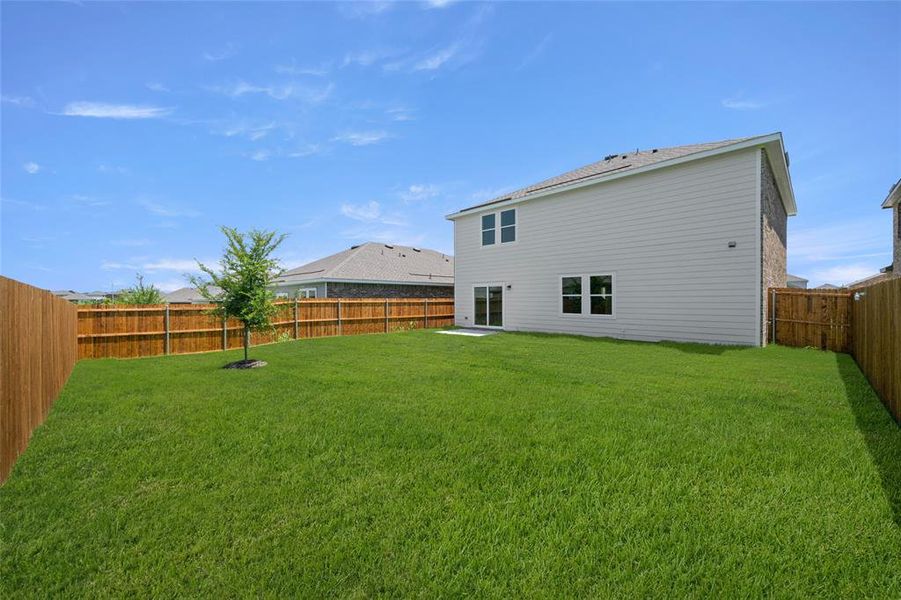 4924 McCoy- Back-2 4924 McCoy- Back-2