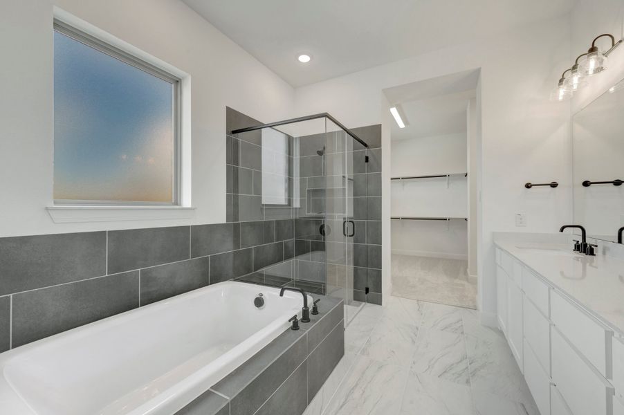 Owner's Bath