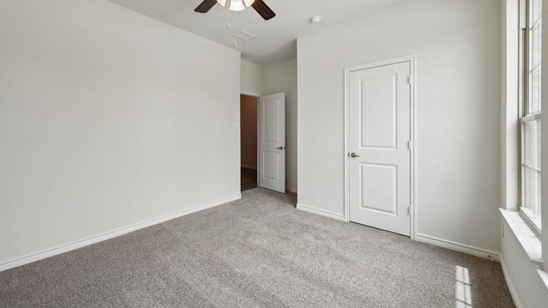 Carpeted room featuring light gray walls, white trim, a multi-pane window, and a ceiling fan