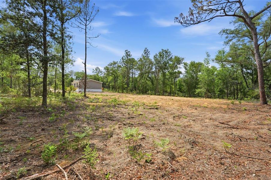 Natural landscape and outdoor views near  in Williston (Image 31).