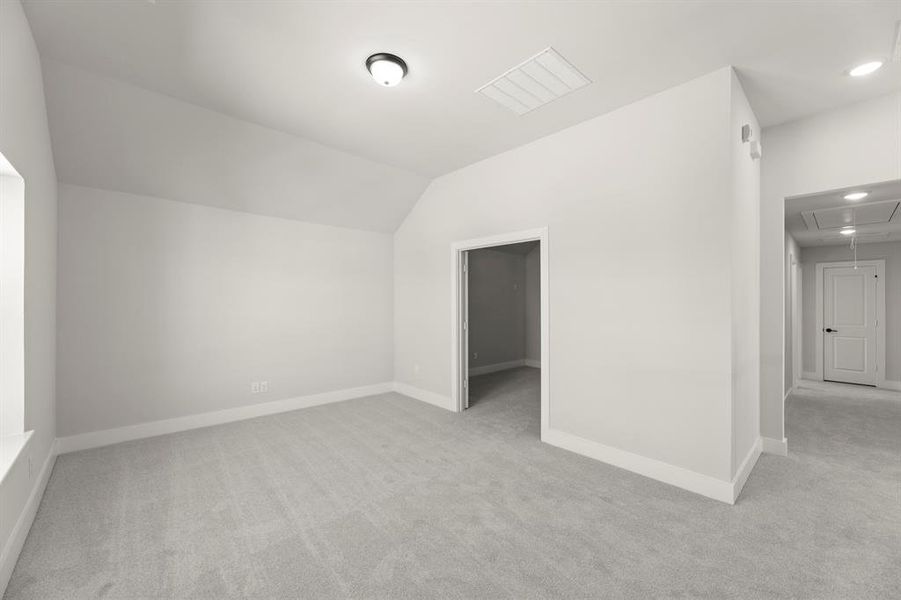 25_27. 1117 Flamingo - Back (2)