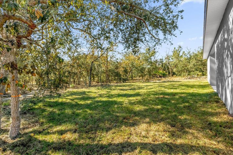 Exterior details and patio area of a home in , Citrus Springs (Image 4).